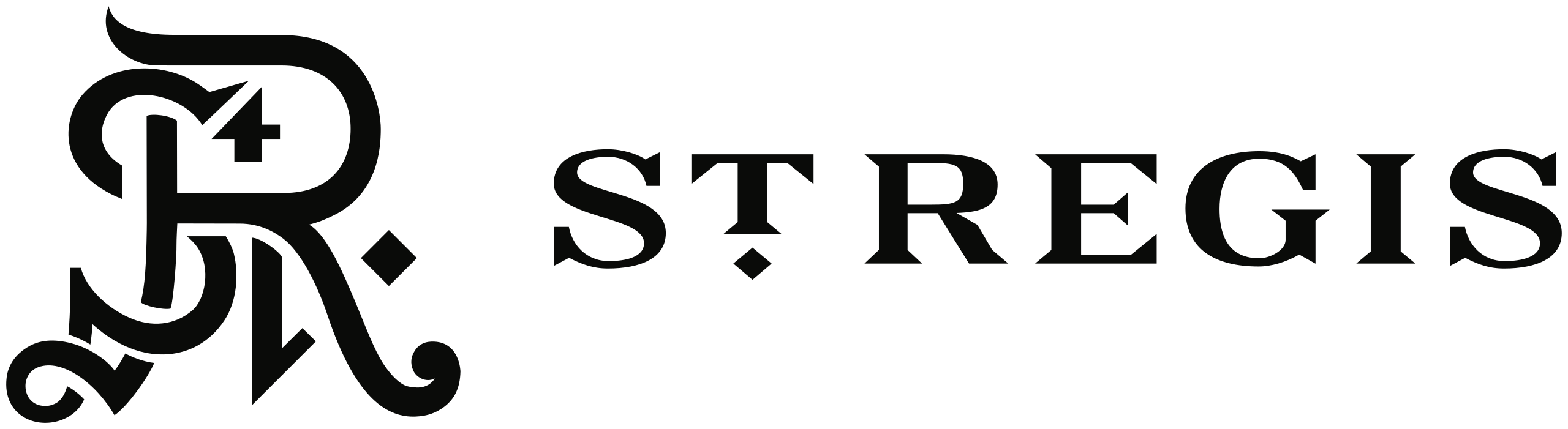 Client Logo