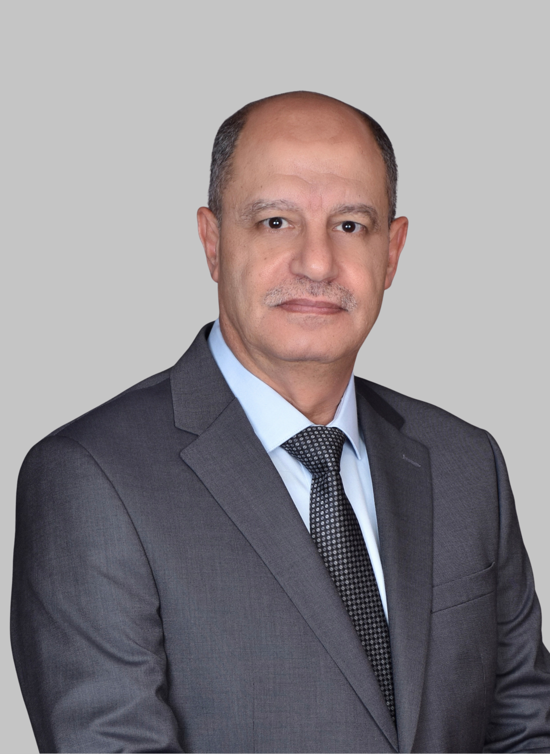 Fatehi M. Abulibdeh